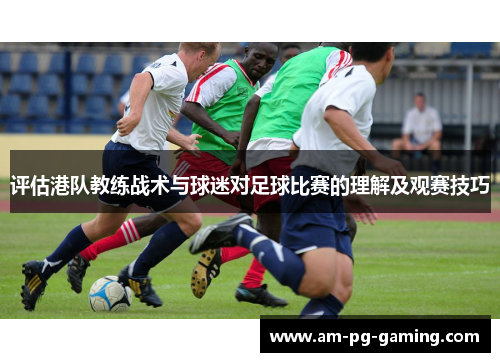 评估港队教练战术与球迷对足球比赛的理解及观赛技巧 评估港队教练战术与球迷对足球比赛的理解及观赛技巧