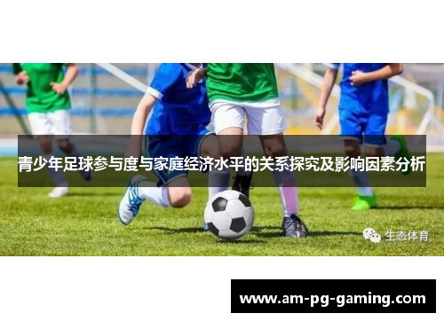 青少年足球参与度与家庭经济水平的关系探究及影响因素分析 青少年足球参与度与家庭经济水平的关系探究及影响因素分析